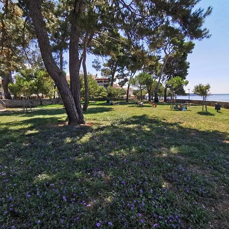 Nina Deluxe Superior 5 Star Apartment, Your Piece Of Heaven By The Sea & Park Новиград Екстериор снимка
