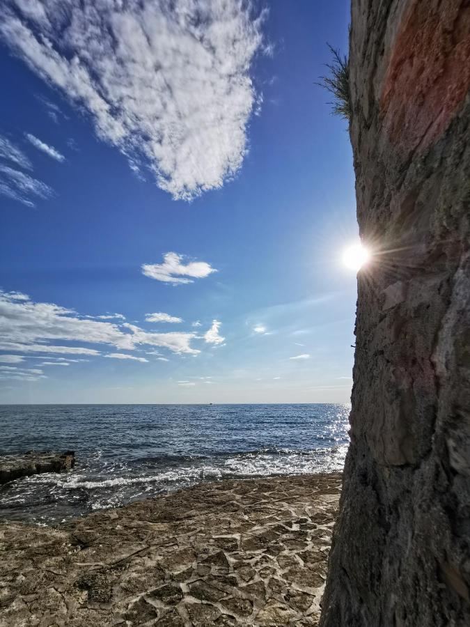 Nina Deluxe Superior 5 Star Apartment, Your Piece Of Heaven By The Sea & Park Новиград Екстериор снимка